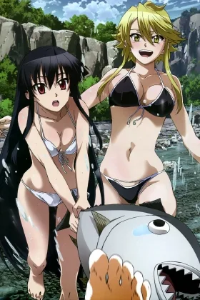 Akame ga Kill: Schwerter der Assassinen