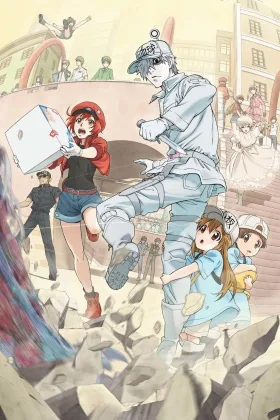 Cells at Work!